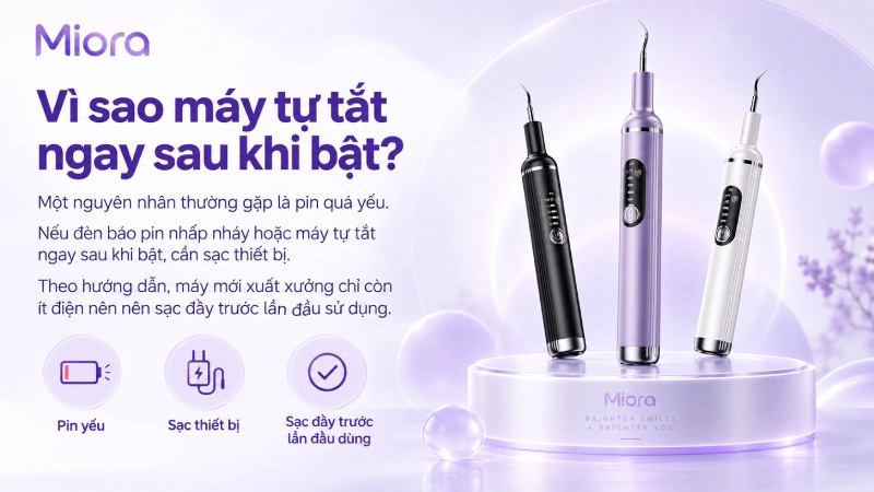 Máy lấy cao răng siêu âm LC-H915