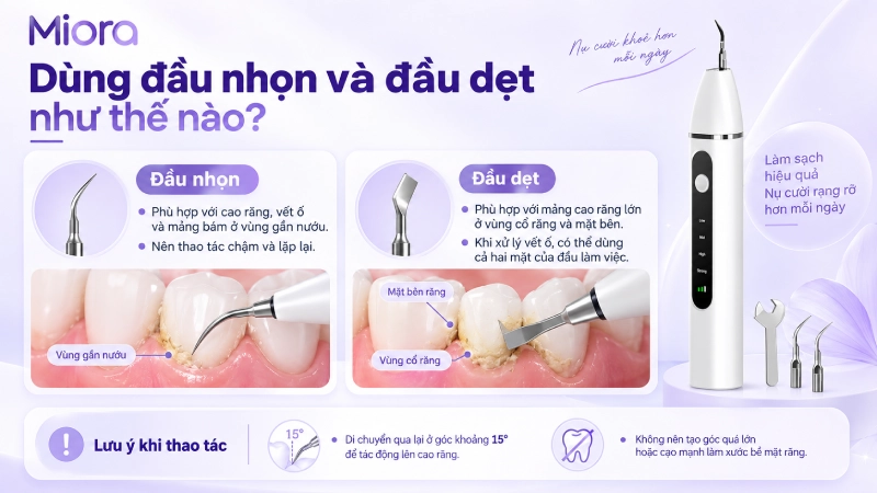 Máy lấy cao răng siêu âm có camera A1