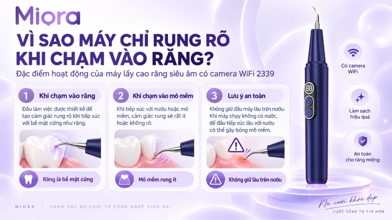 Máy lấy cao răng siêu âm có camera WiFi 2339